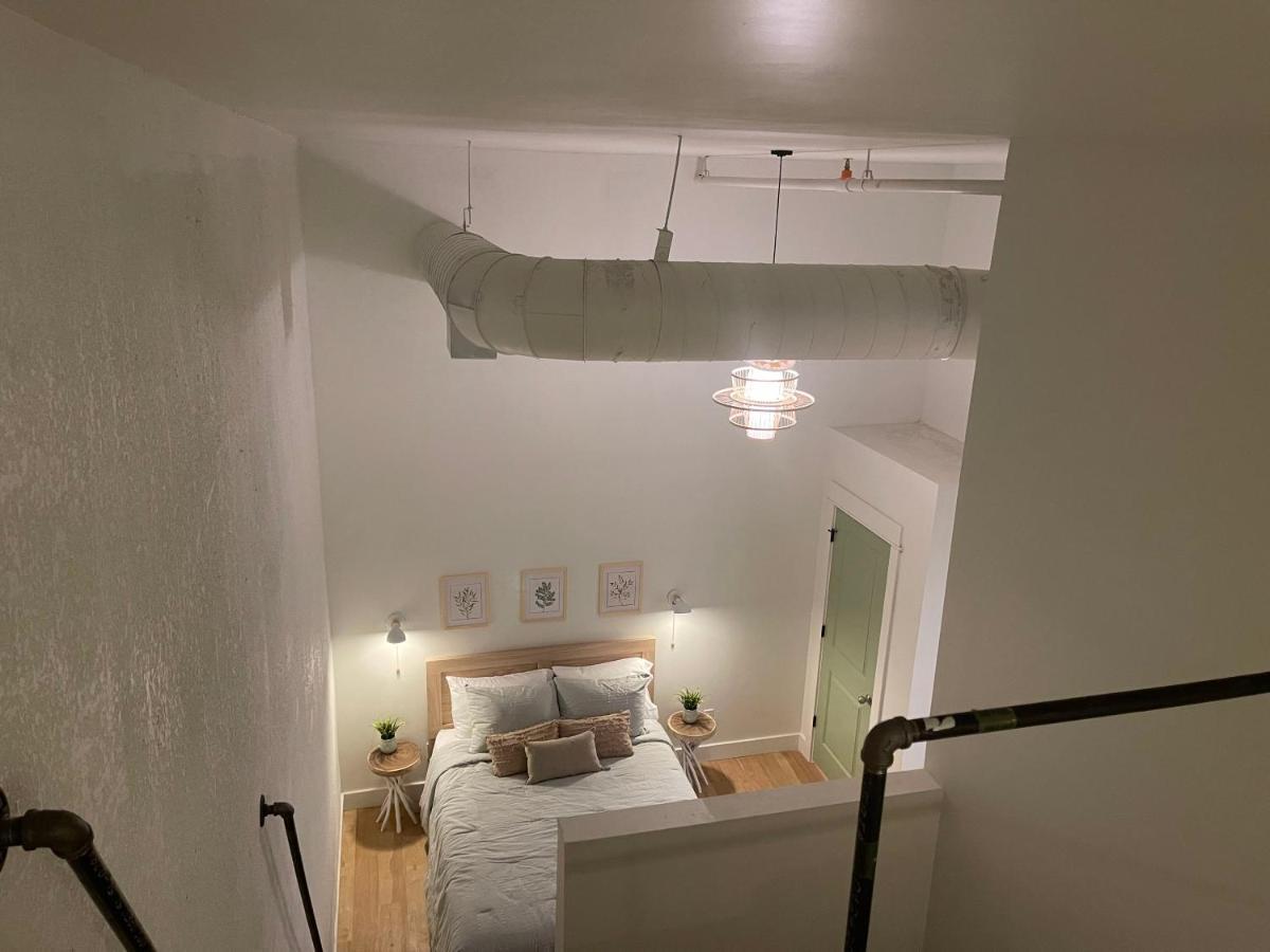 Lou-city Penthouse Suite! Savor Life With Hollyhock Apartment